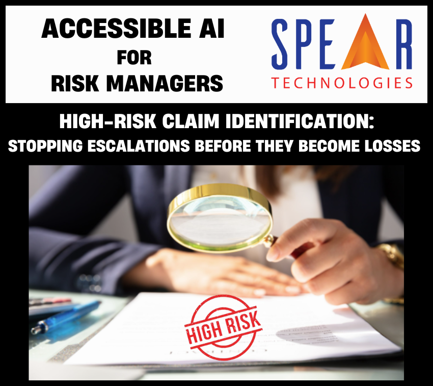 Accessible AI for Risk Managers