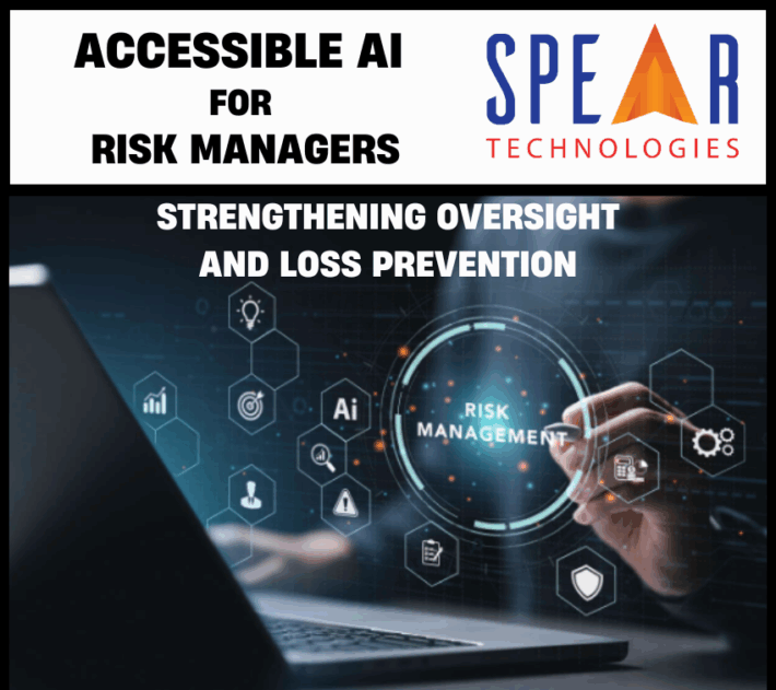 Accessible AI for Risk Managers