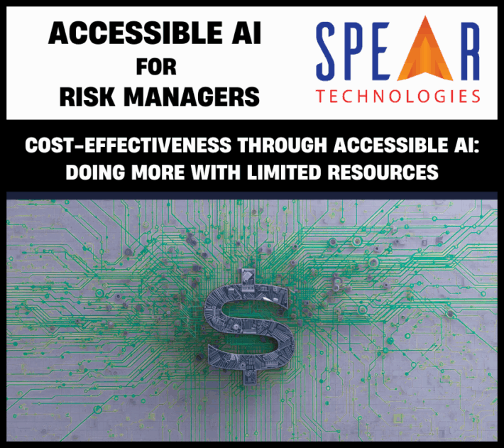 Accessible AI for Cost-Effectiveness